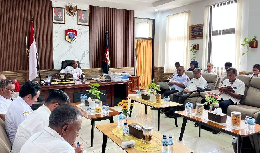 Pemda Lembata Siap beli Jagung Petani Cara, Dukung Ketahan Pangan Nasional